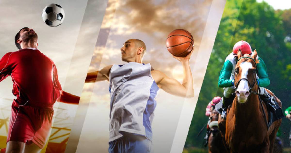 WildAce777 Best Sports Betting Platform 2025
